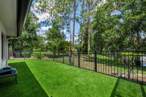 Backyard 1