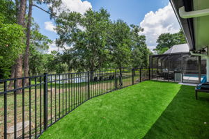 Backyard 2