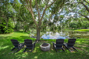 Backyard 4