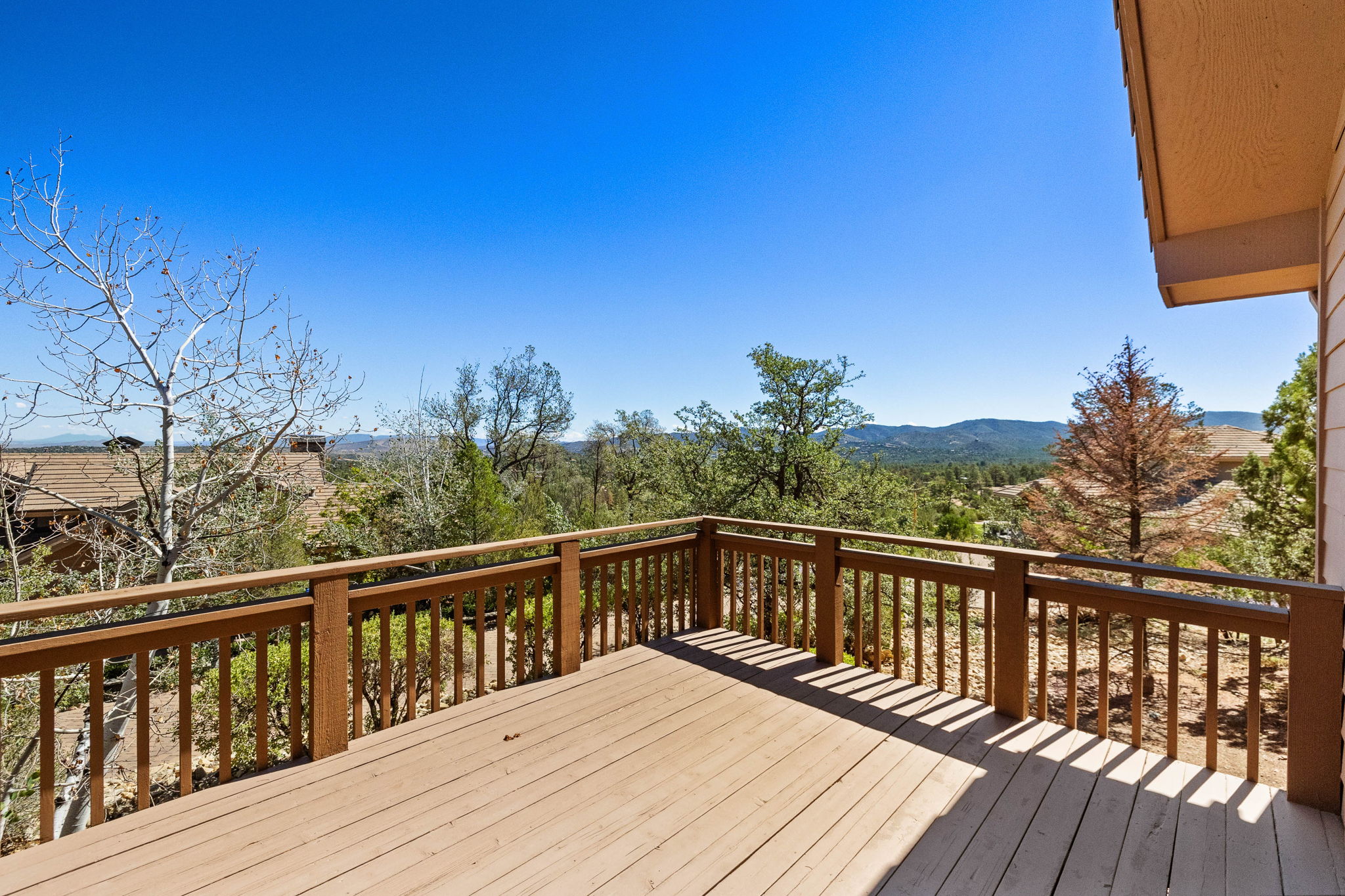 Back Deck (2)
