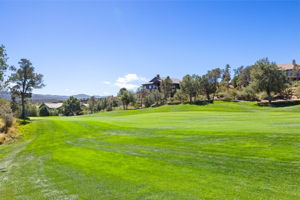 Golf Course (1)