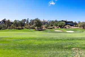 Golf Course (2)