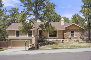  Photo 0