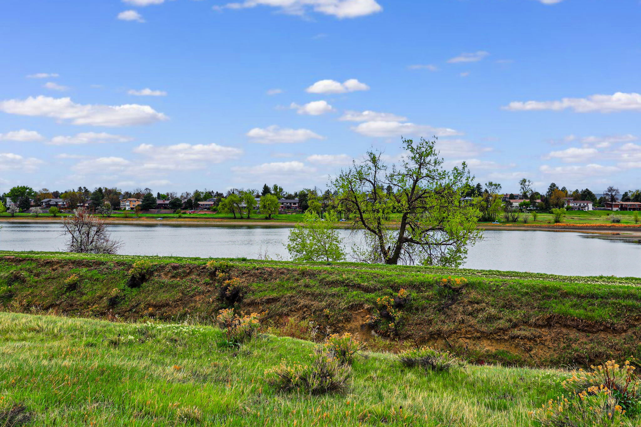  Photo 45