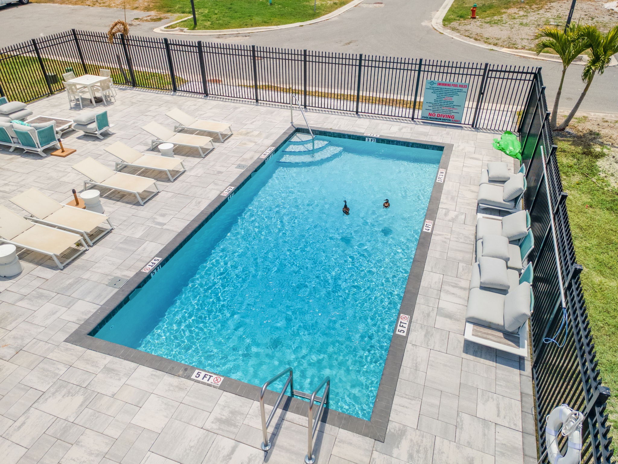 Heated resort-style pool in use at the gated townhome community Pinellas County residents call Latitudes in the Park, Pinellas Park FL