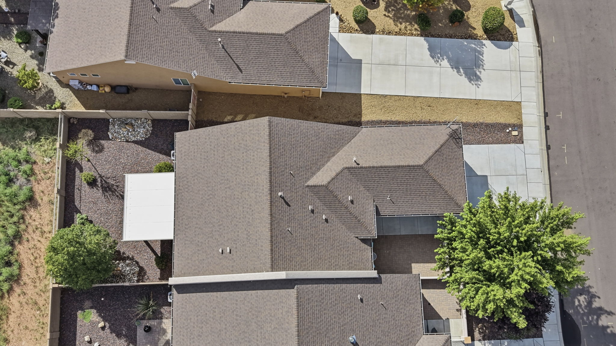 Birds Eye