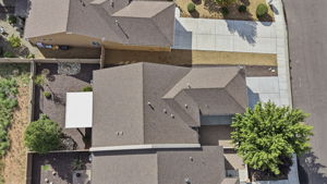 Birds Eye
