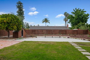 19 - Back Yard