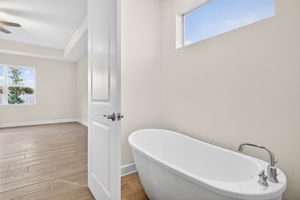 Primary Bathroom 3