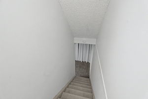  Photo 39