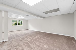 Lower Level Recreation Room