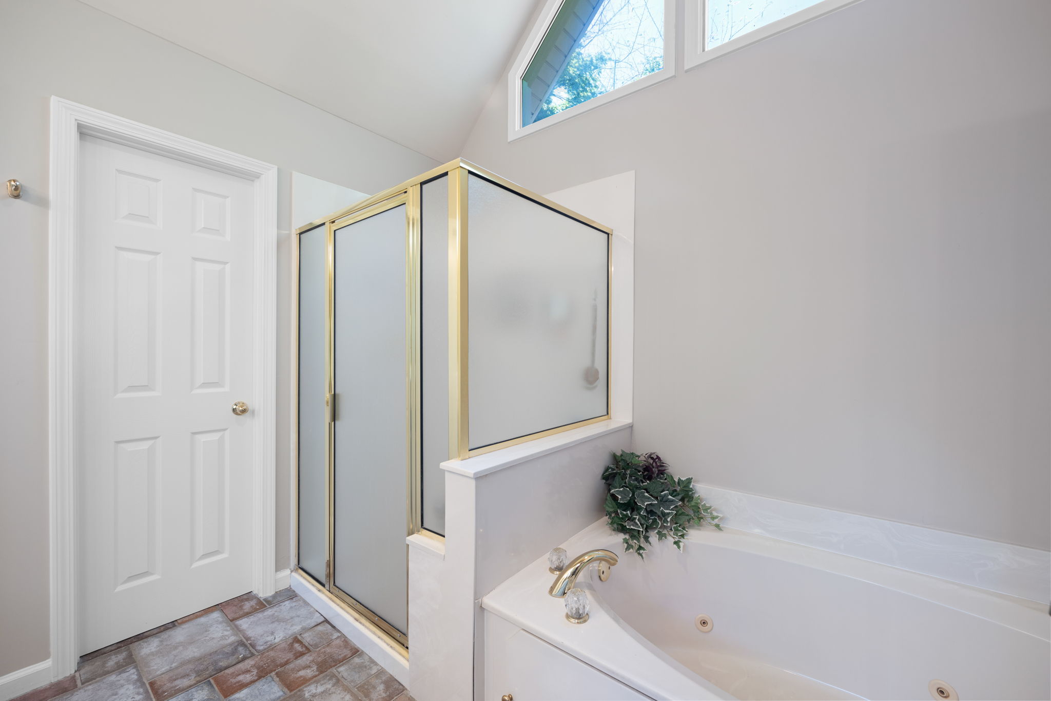 Large shower, jetted tup, water closet