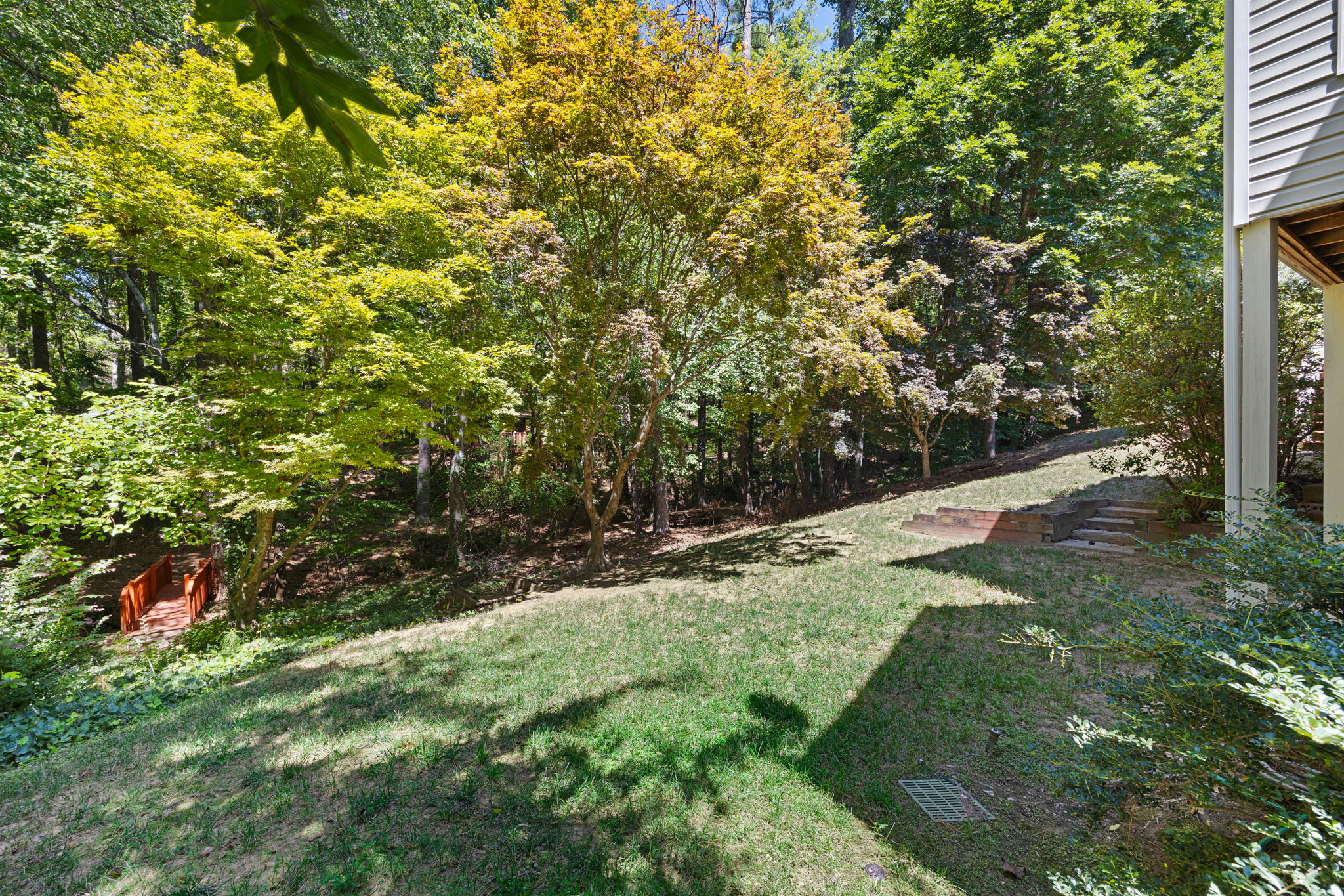 Beautiful yard