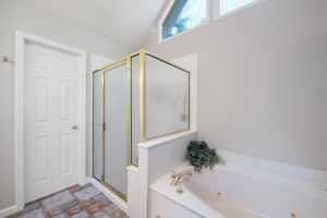 Large shower, jetted tup, water closet