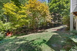 Beautiful yard