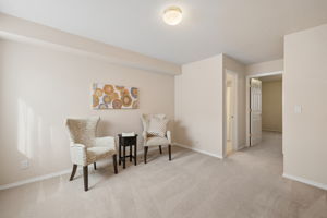 Finished Basement