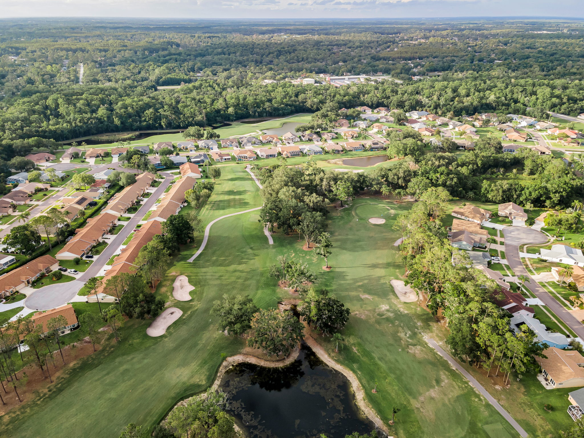 Aerial (10)