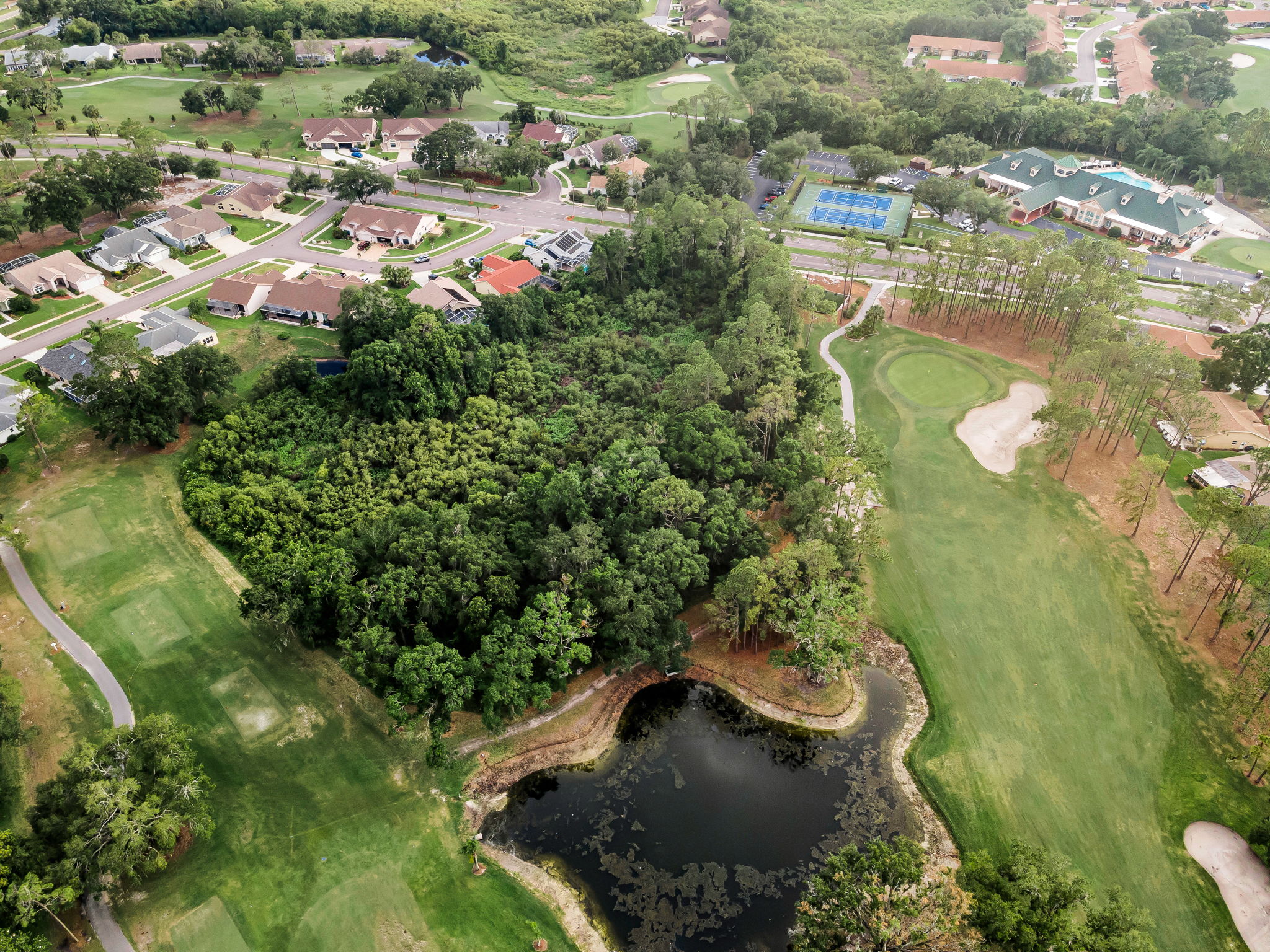 Aerial (11)