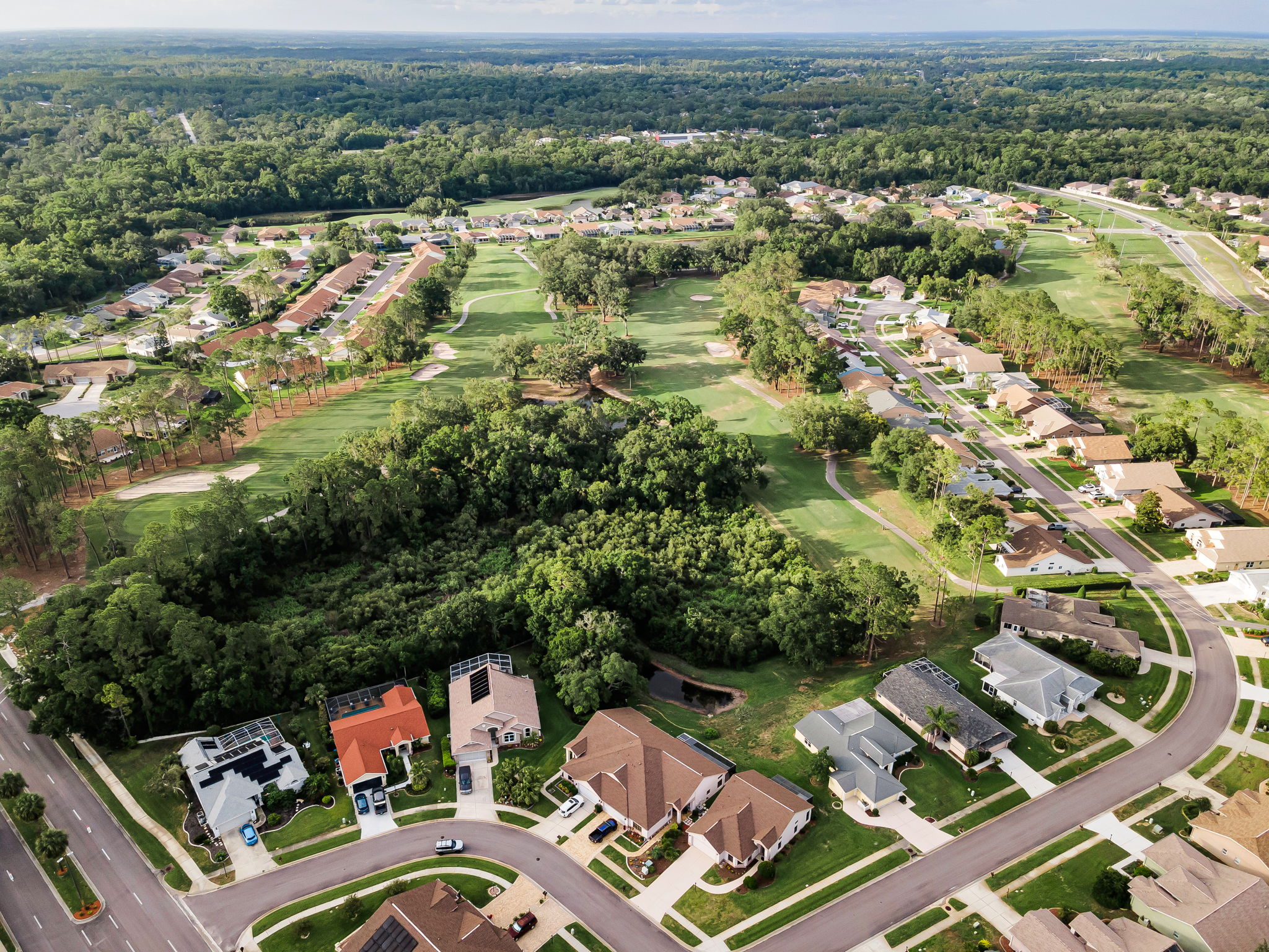 Aerial (7)