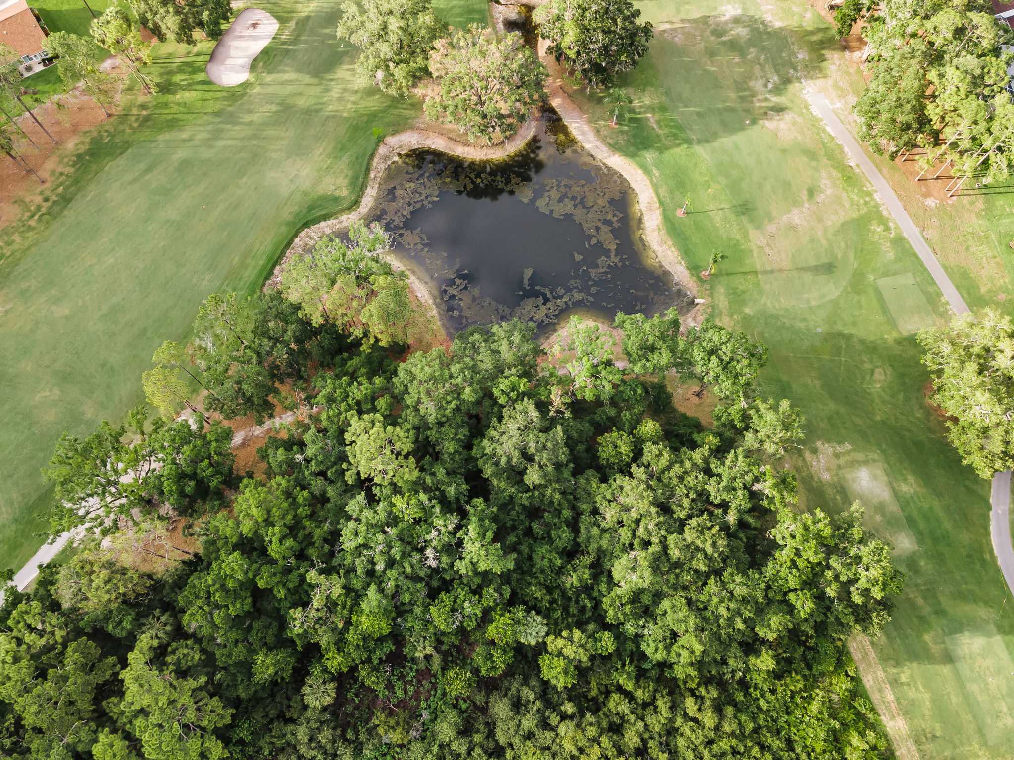 Aerial (9)