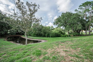 Backyard2
