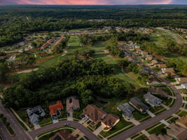 Aerial (7)