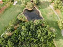 Aerial (9)