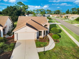 Aerial (1)
