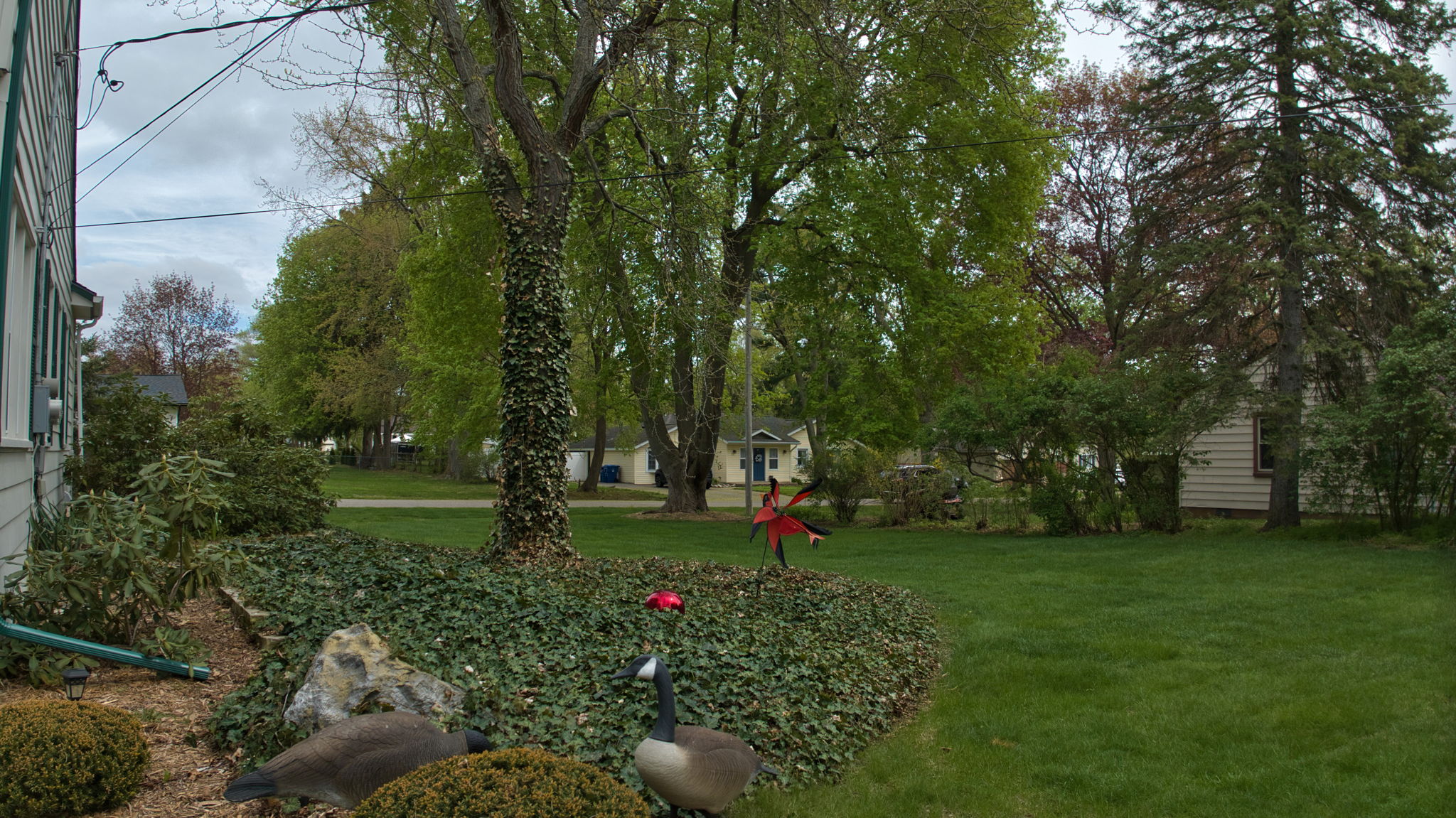  Photo 18