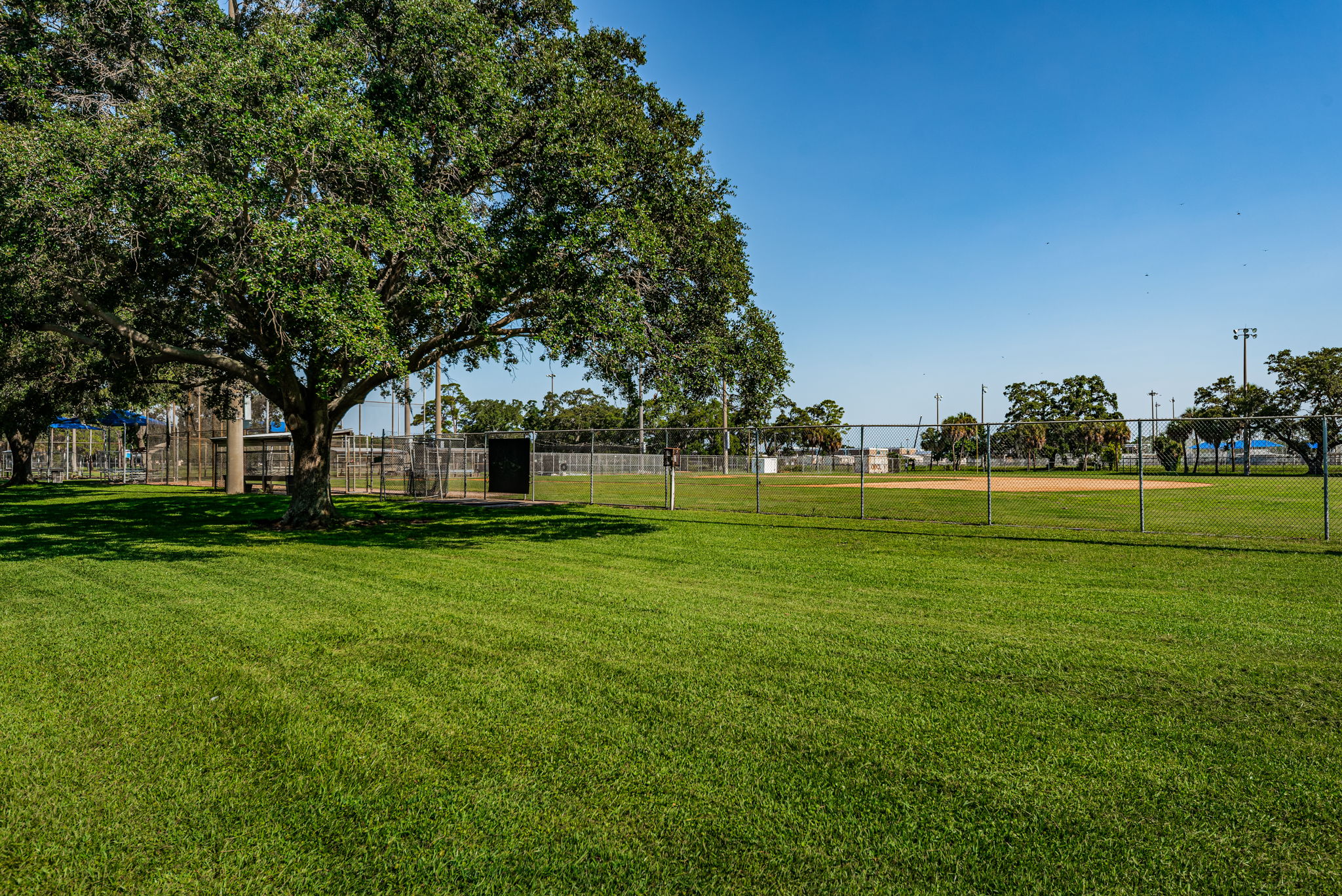 Baseball Fields