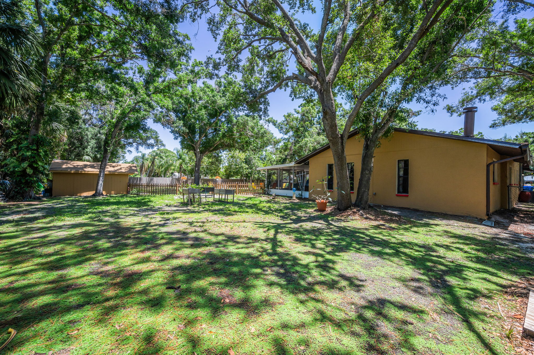 Backyard10