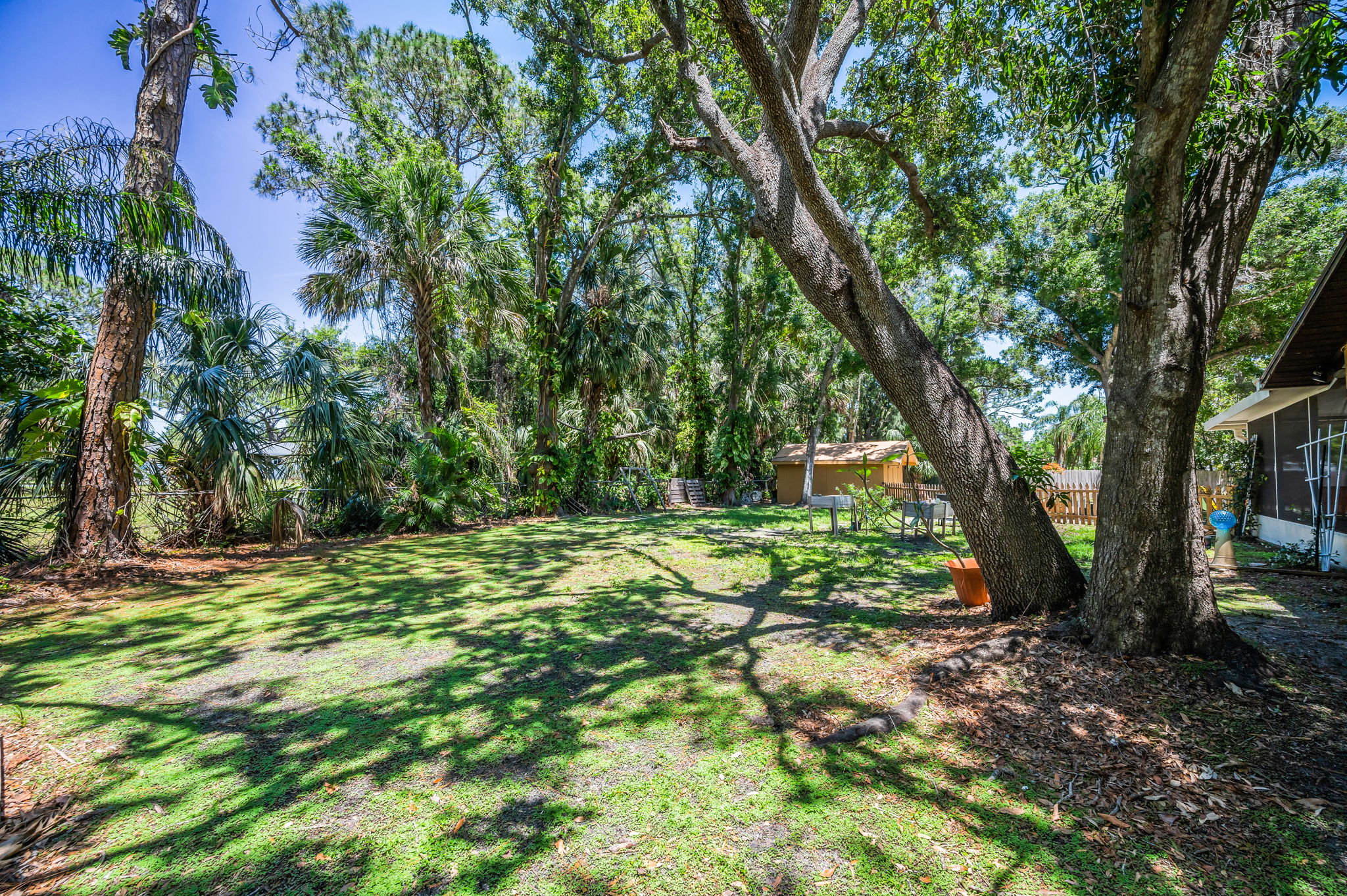 Backyard11
