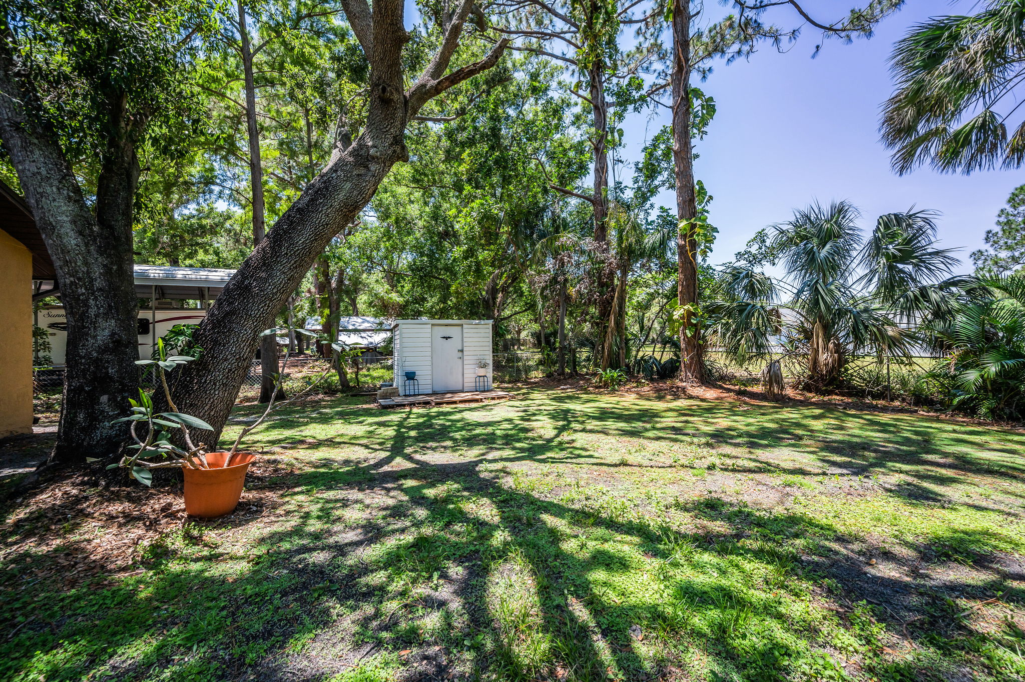 Backyard12