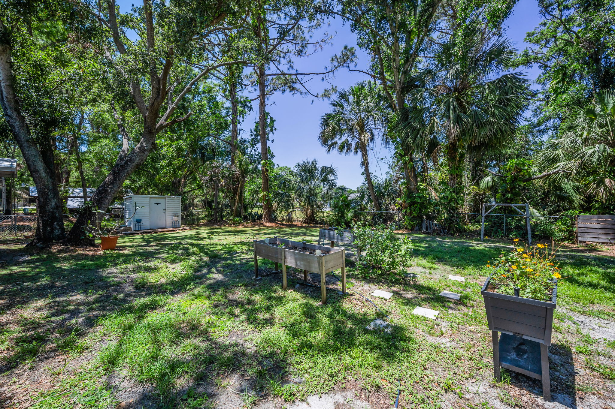 Backyard13