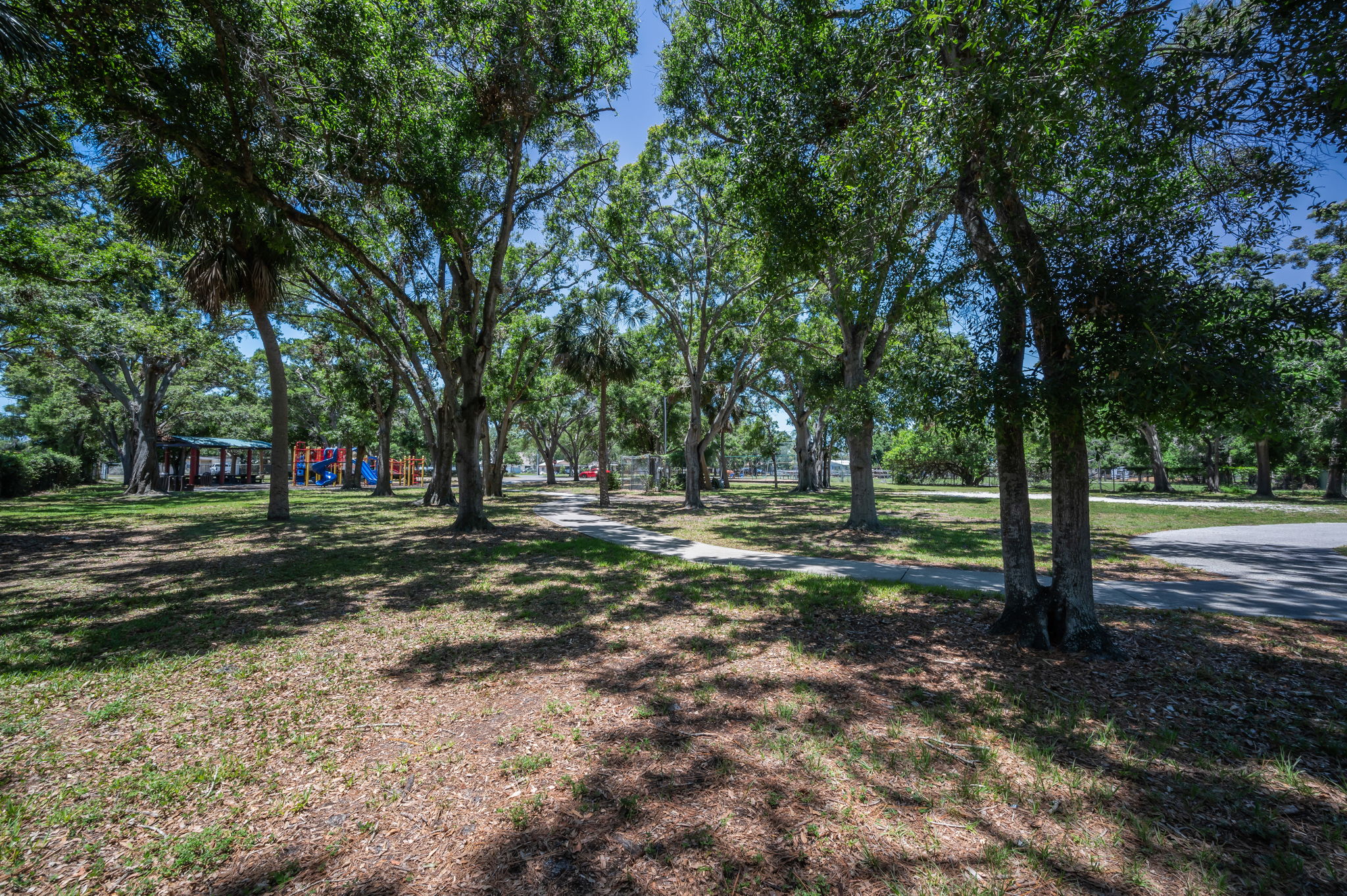 29-Park