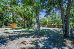 Backyard2