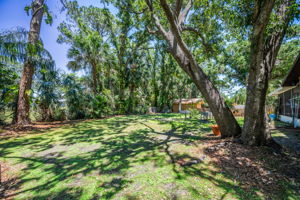 Backyard11