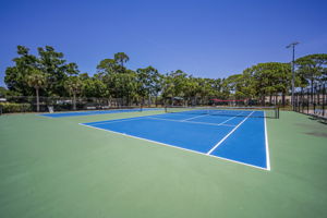 18-Tennis and Pickleball Courts
