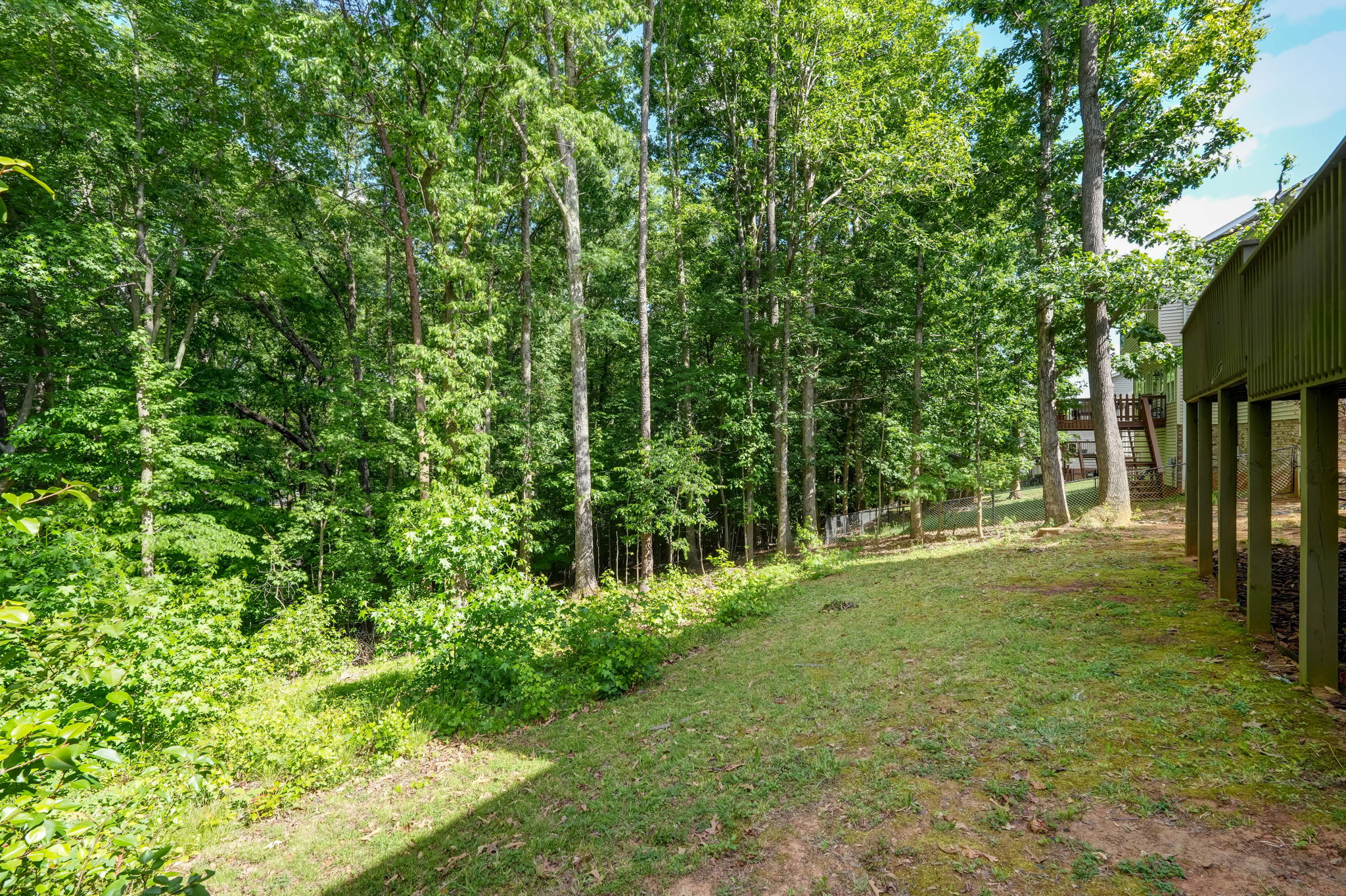 Back Yard