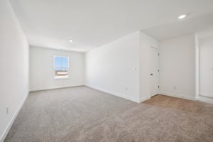 Flag Stop Dr-S0502-027.jpg