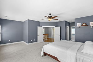  Photo 44