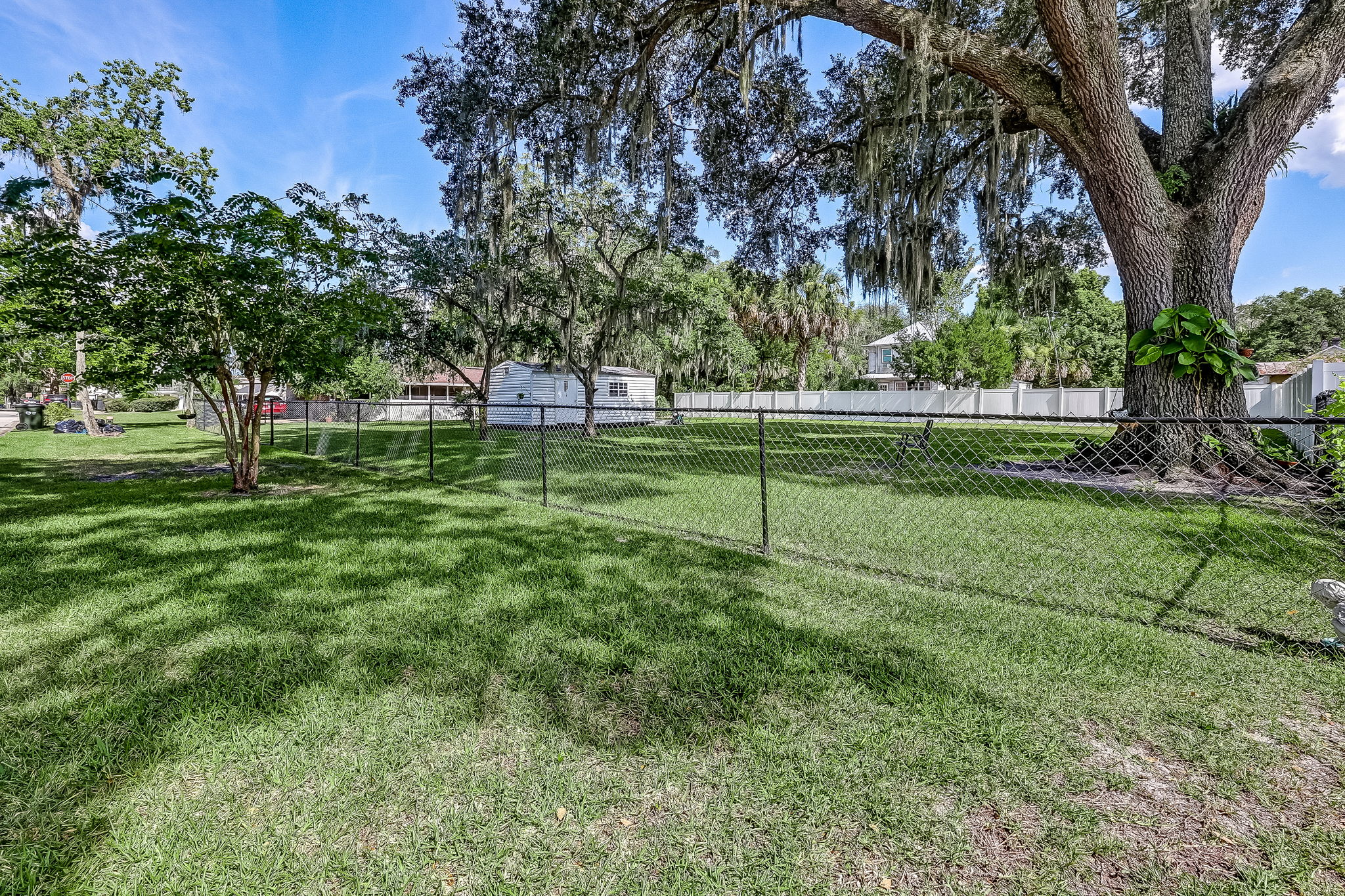 Side Yard