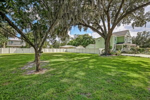 Side Yard