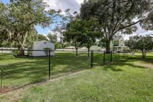 Side Yard