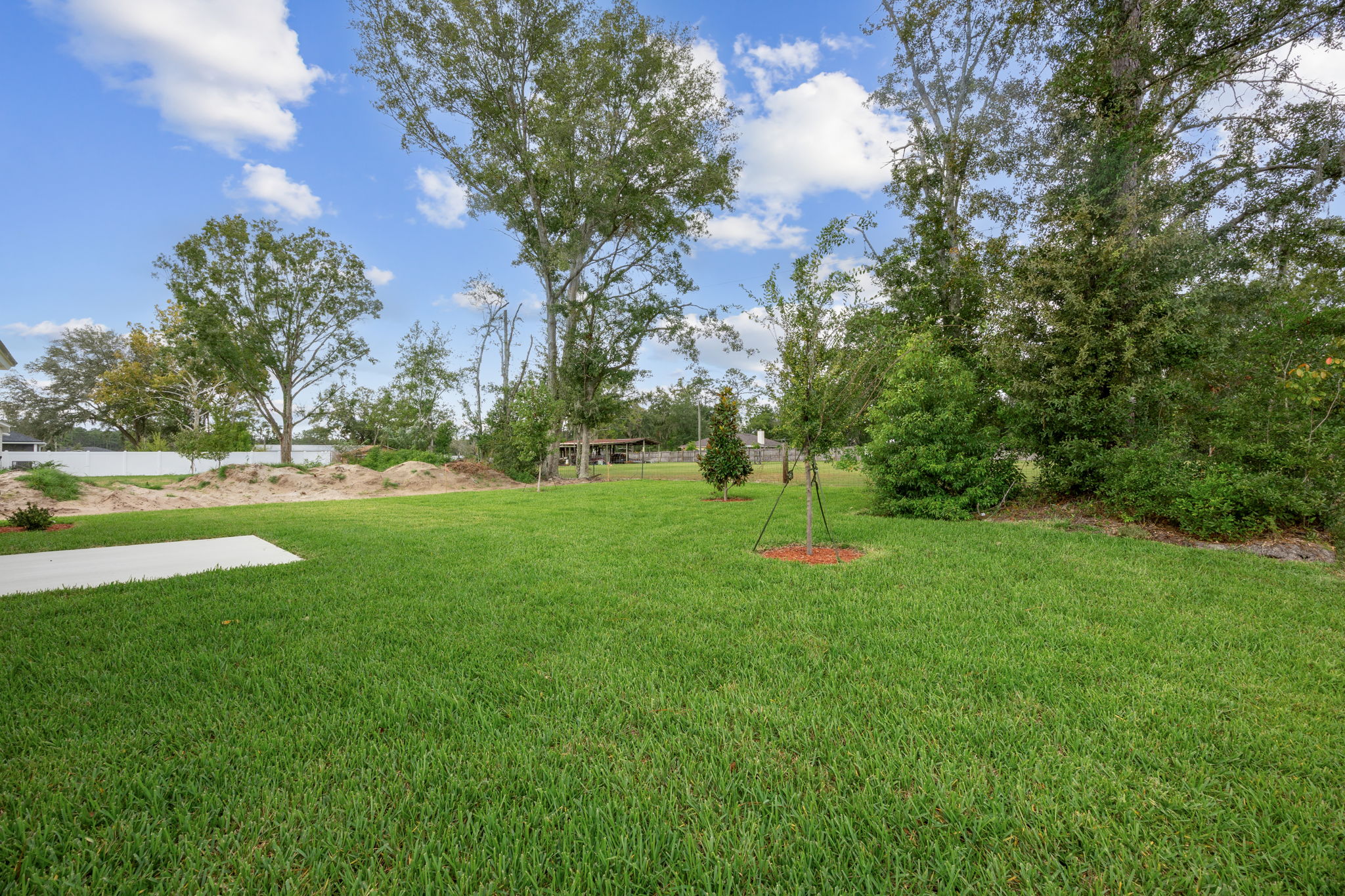 Backyard