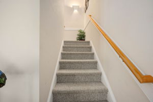  Photo 51