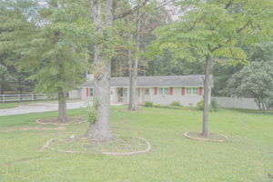  Photo 0