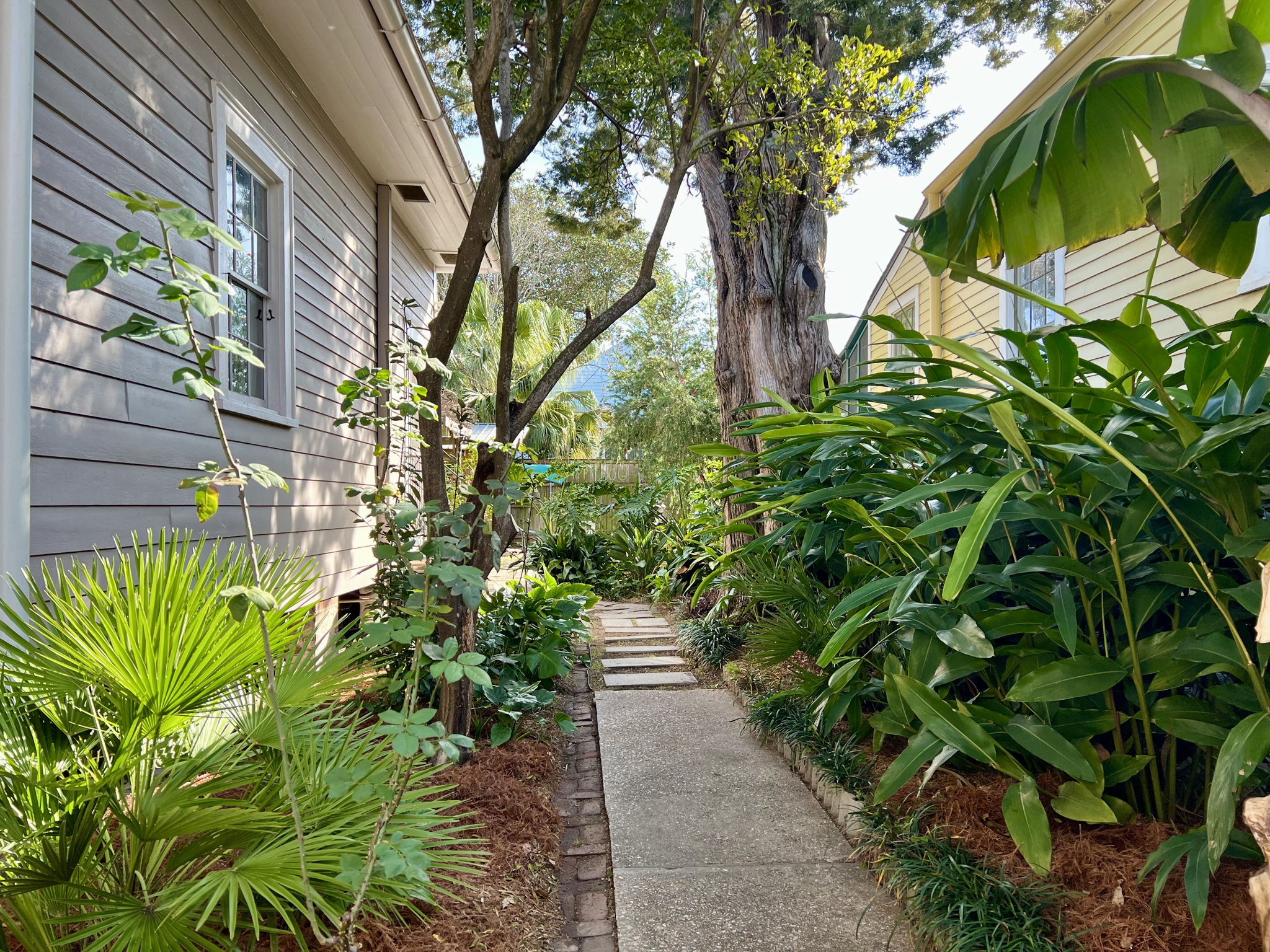 Mature landscaping includes a producing pecan trees in the sideyard and citrus and fig trees in the rear yard.