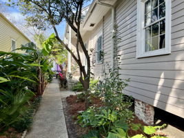 Lush mature landscaping envelopes the side walkway in privacy and greenery