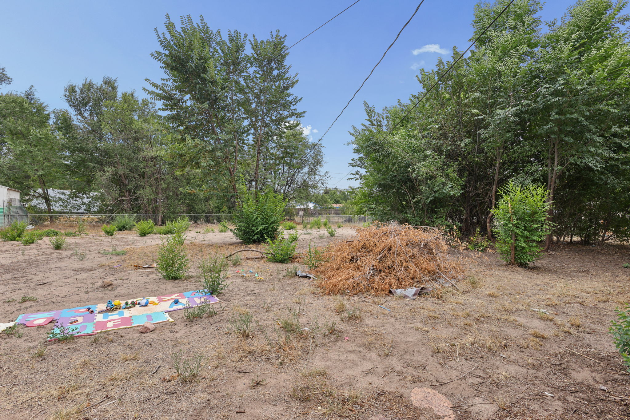 Yard